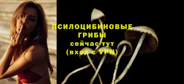 ALPHA PVP Арсеньев