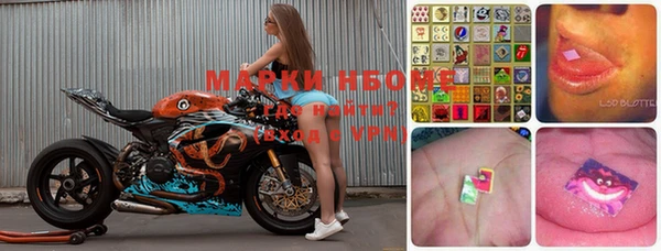 стафф Аркадак