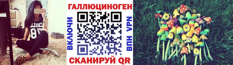 Галлюциногенные грибы GOLDEN TEACHER  Канаш 